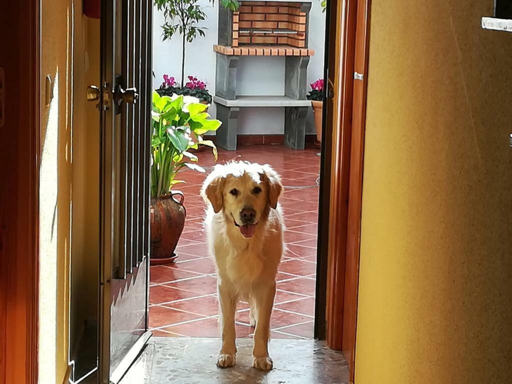 Casa Rural La Herencia Alia ภายนอก รูปภาพ